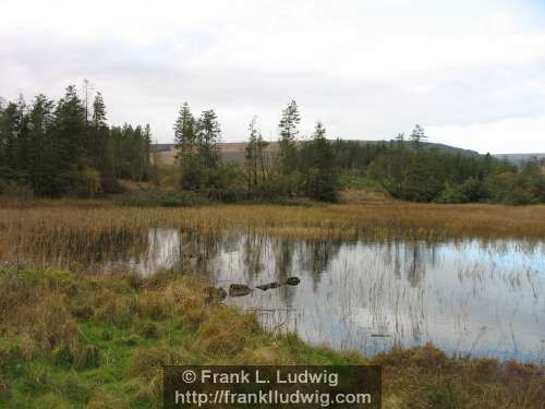 Carrownabanny Lough - Ladies Brae, Ladies Bray, Ox Mountains